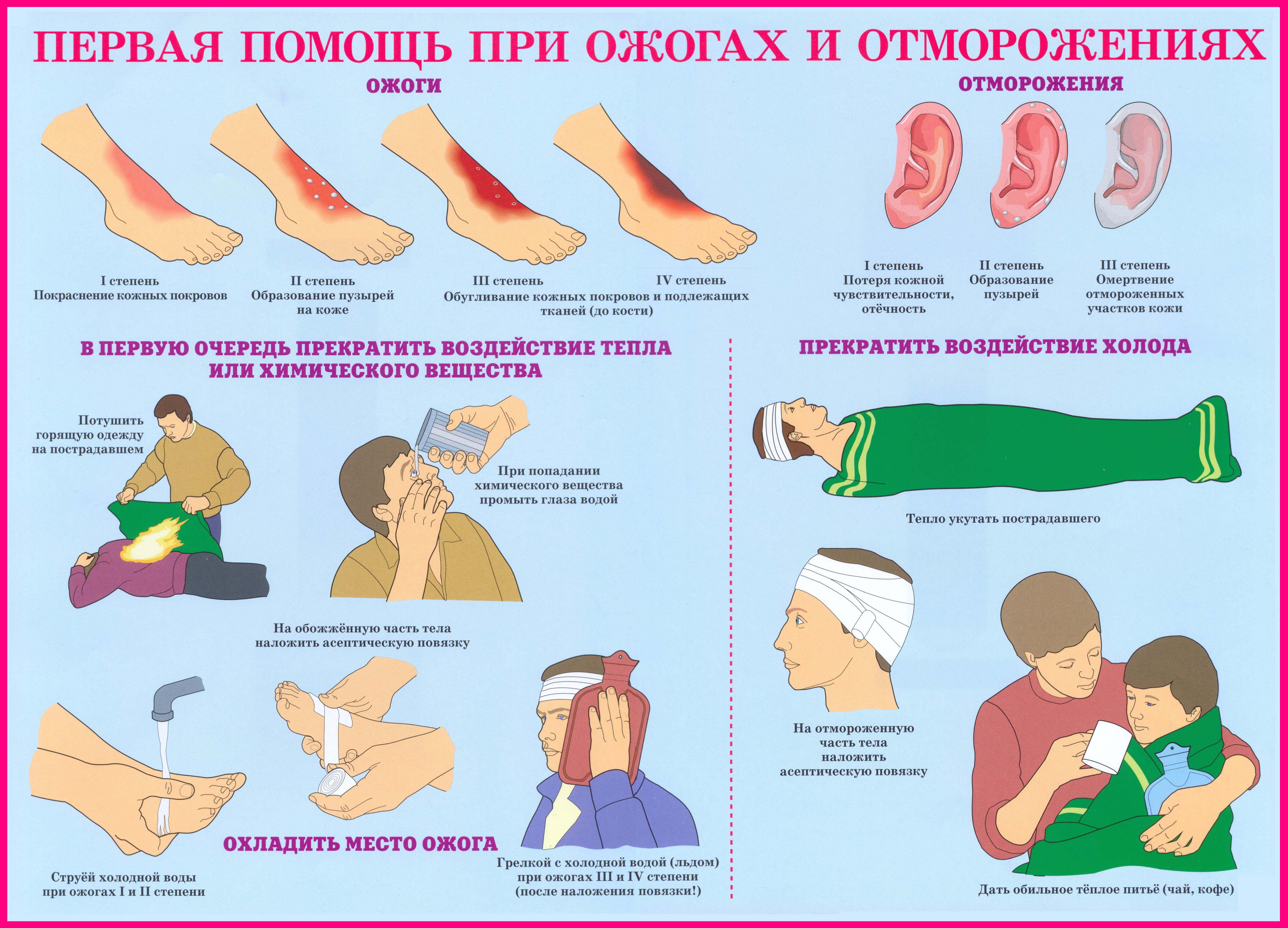 Проект первая помощь